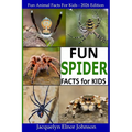 Fun Spider Facts For Kids
