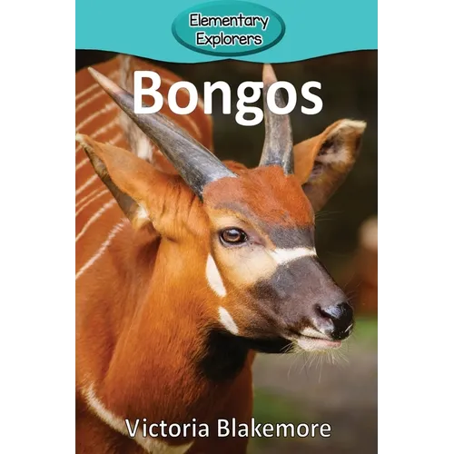 Bongos