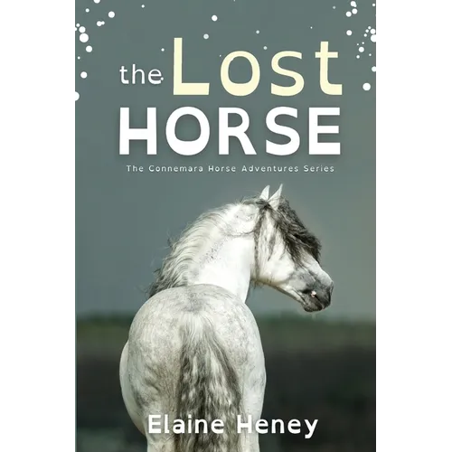 The Lost Horse - Dyslexia Friendly