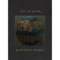 fist of wind