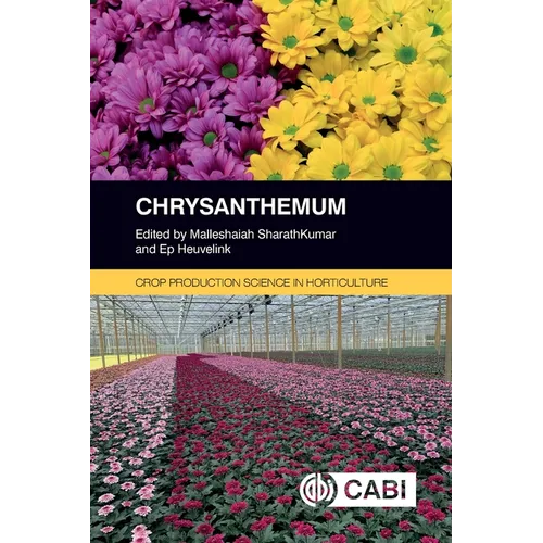 Chrysanthemum