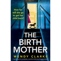 The Birth Mother: A gripping and completely unputdownable psychological thriller