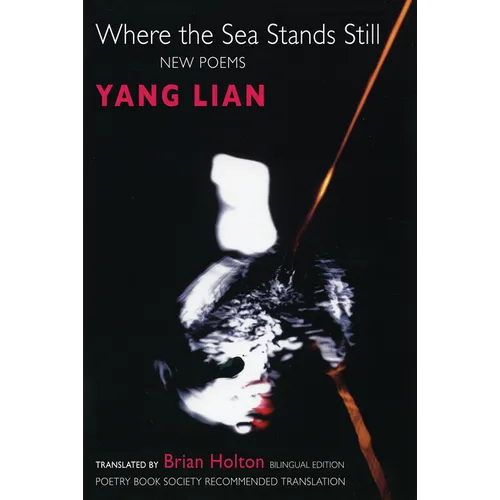 Where the Sea Stands Still