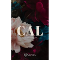CAL Discreet Cover: Secrets and Lies Discreet Book 1