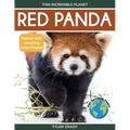 Red Panda