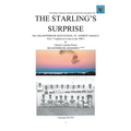 The Starling's Surprise: How Meadowbrook High School, St. Andrew Jamaica Won 7 Trophies In 4 Years In The 1980's