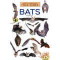 Bats