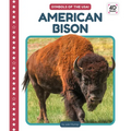 American Bison