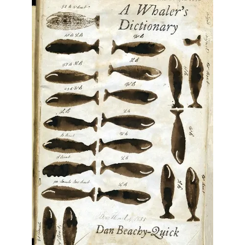 A Whaler's Dictionary