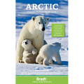 Arctic: A Guide to Coastal Wildlife