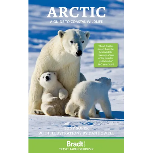 Arctic: A Guide to Coastal Wildlife