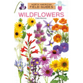 Wildflowers