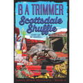 Scottsdale Shuffle: a fun, romantic, thrilling, adventure...