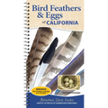 Bird Feathers & Eggs of California: Identify 40 Species of Common Backyard Birds