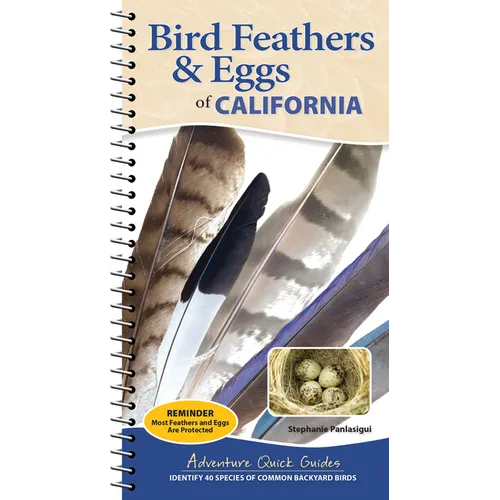 Bird Feathers & Eggs of California: Identify 40 Species of Common Backyard Birds