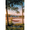 One Piece out of Place
