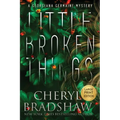 Little Broken Things, Large Print Edition