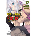 High School DXD, Vol. 17 (Light Novel): Professor Valkyrie
