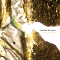 Consider the Oyster