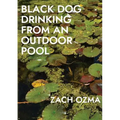 Black Dog Drinking from an Outdoor Pool