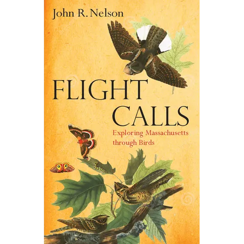 Flight Calls: Exploring Massachusetts Through Birds