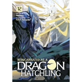 Reincarnated as a Dragon Hatchling (Light Novel) Vol. 12