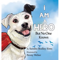 I Am A Hero But No One Knows