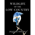 Wildlife of the Low Country