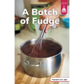 A Batch of Fudge