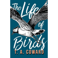 The Life of Birds