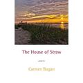 The House of Straw