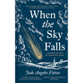 When the Sky Falls: A Human History of Shooting Stars