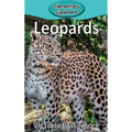 Leopards