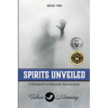 Spirits Unveiled: A Theological Unveiling of the Spiritual Realm