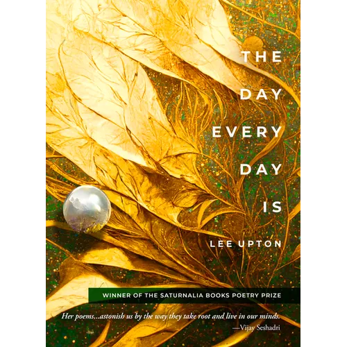 The Day Every Day Is