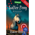 The Galtee Pony Mystery - Blackthorn Stables Junior