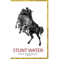 Stunt Water: The Work of Buddy Wakefield 1991-2011