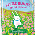 Little Bunny, Spring Is Here!