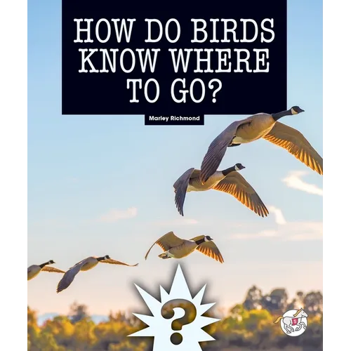 How Do Birds Know Where to Go?