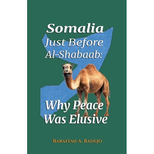 Somalia Just Before Al-Shabaab: Why Peace Was Elusive