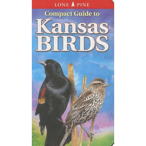 Compact Guide to Kansas Birds