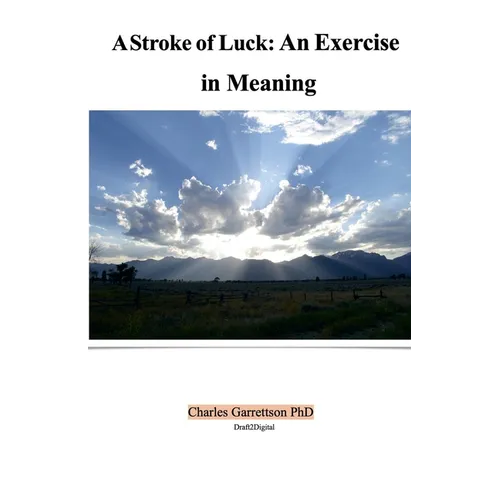 A Stroke of Luck: An Exercise in Meaning