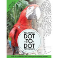 Relaxing Dot-To-Dot For Adults: Over 30 challenging and calming stress-relieving puzzles
