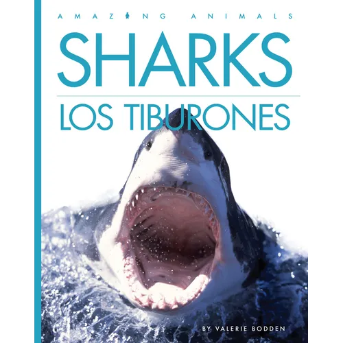 Sharks / Los Tiburones