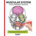 Muscular System Coloring Book: Now you can learn and master the muscular system with ease while having fun