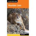 Mountain Lions