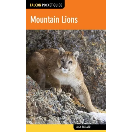 Mountain Lions
