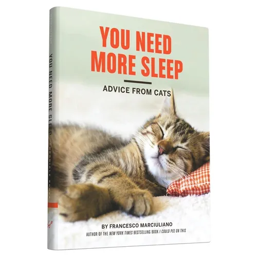 You Need More Sleep: Advice from Cats