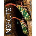 Insects 2026 Calendar