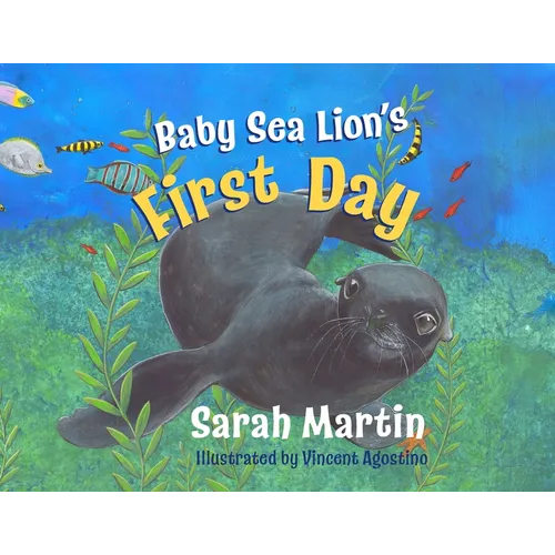Baby Sealion's First Day: A big Adventure for a baby